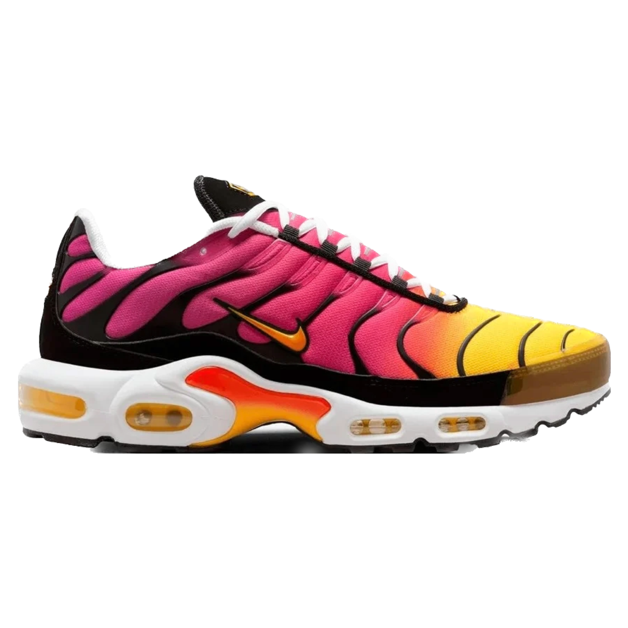 Nike Air Max Plus TN Rainbow